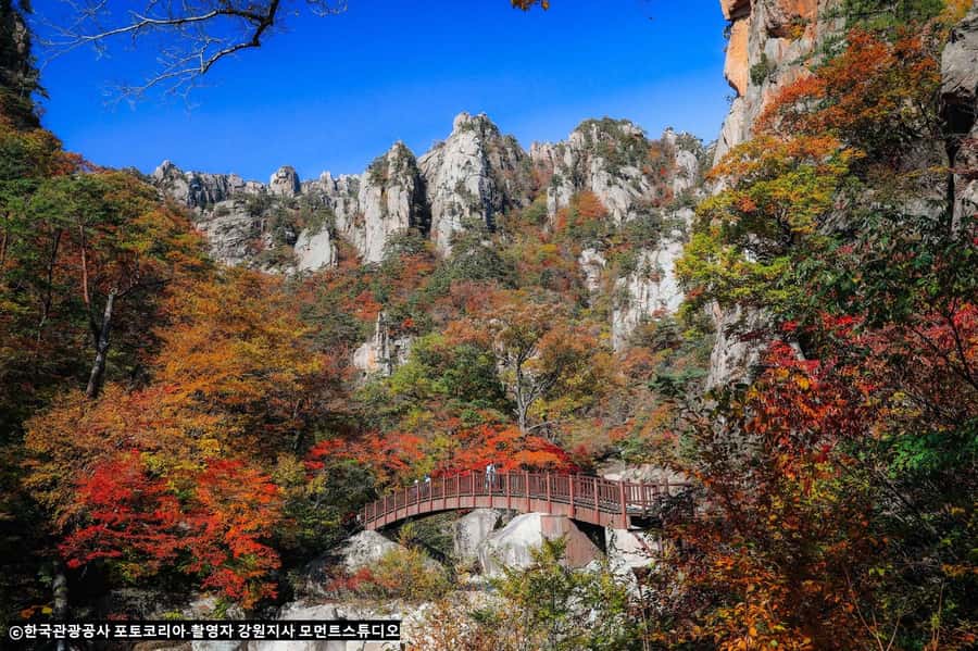 Seoul: Seorak Mountain+Nami Island+Eobi Ice Valley Tour - How the transport changes the value