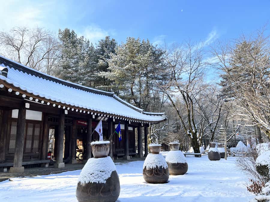 Seoul: Seorak Mountain+Nami Island+Eobi Ice Valley Tour - What the guide does, and what the tour does not do