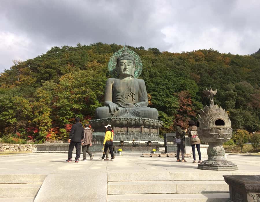 Seoul: Seorak Mountain+Nami Island+Eobi Ice Valley Tour - Who should book this winter route