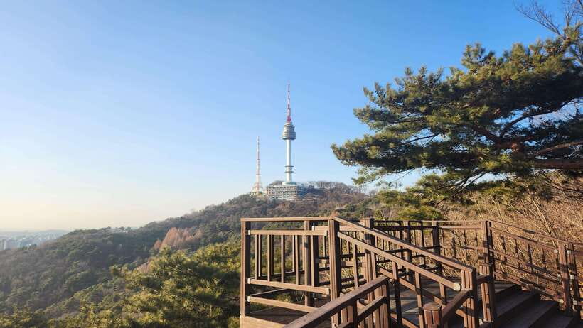Seoul: Services of a Local for a Day (Paperwork/Tour/Fun) - Turning a sightseeing day into your own Seoul route