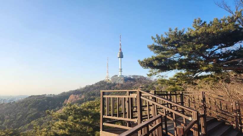 Seoul: Services of a Local for a Day (Paperwork/Tour/Fun) - Food, shopping, and everyday Seoul