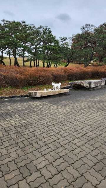 Seoul: Services of a Local for a Day (Paperwork/Tour/Fun) - Museums, activities, and the local companion option