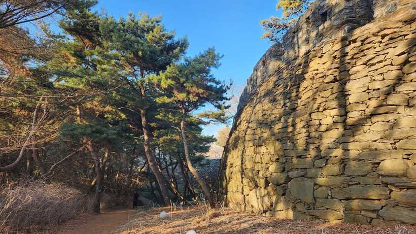 Seoul: Services of a Local for a Day (Paperwork/Tour/Fun) - What the feedback tells me about the guide