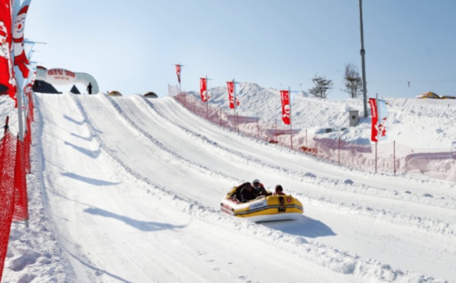 Seoul: SnowyLand in Vivaldi Park with Nami or Alpaca - Key points at a glance