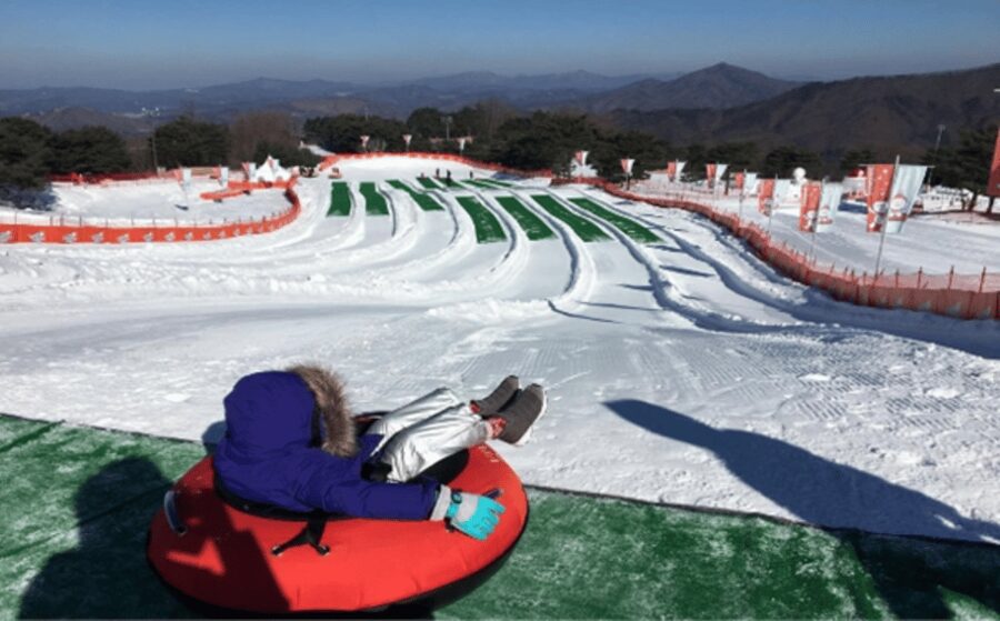 Seoul: SnowyLand in Vivaldi Park with Nami or Alpaca - SnowyLand at Vivaldi Park
