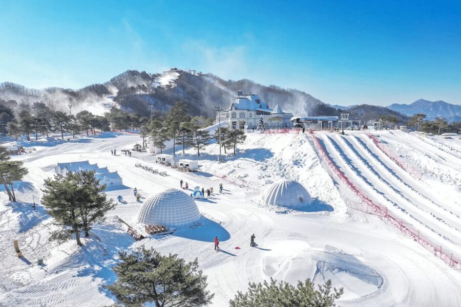 Seoul: SnowyLand in Vivaldi Park with Nami or Alpaca - Lunch and the practical rhythm of the day