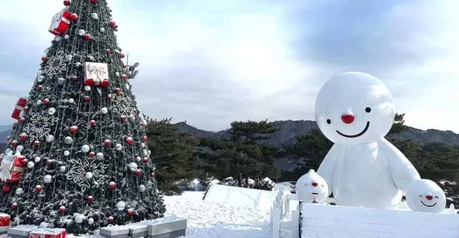 Seoul: SnowyLand in Vivaldi Park with Nami or Alpaca - What the $70 price really covers