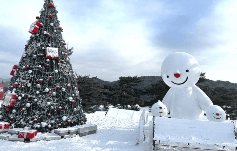 Seoul: SnowyLand in Vivaldi Park with Nami or Alpaca - The bus ride to Vivaldi Park
