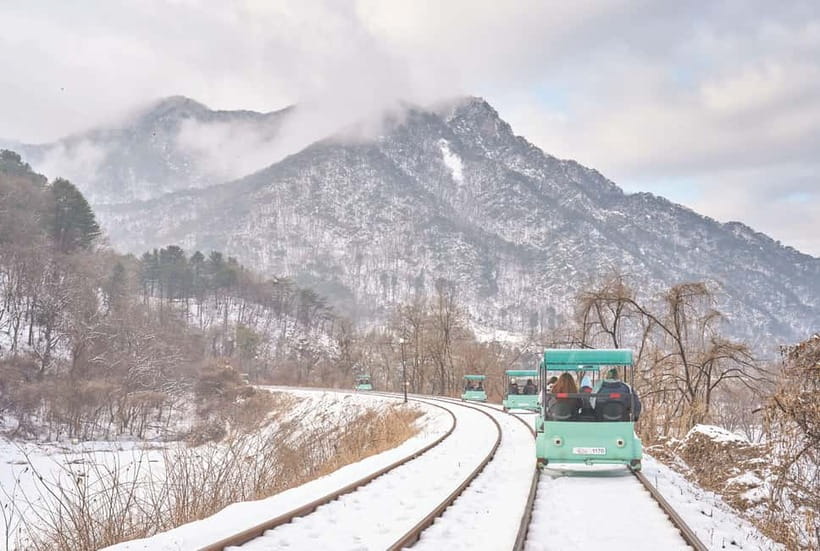 Seoul: Strawberry Picking & Eobi Ice Valley & Nami Island - Picking strawberries in Yangpyeong
