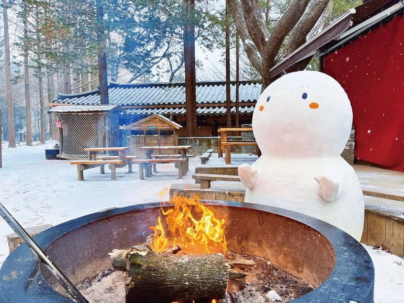 Seoul: Strawberry Picking & Eobi Ice Valley & Nami Island - Three and a half hours on Nami Island