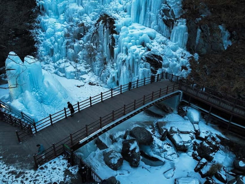 Seoul: Strawberry Picking & Eobi Ice Valley & Nami Island - Who should book this day trip