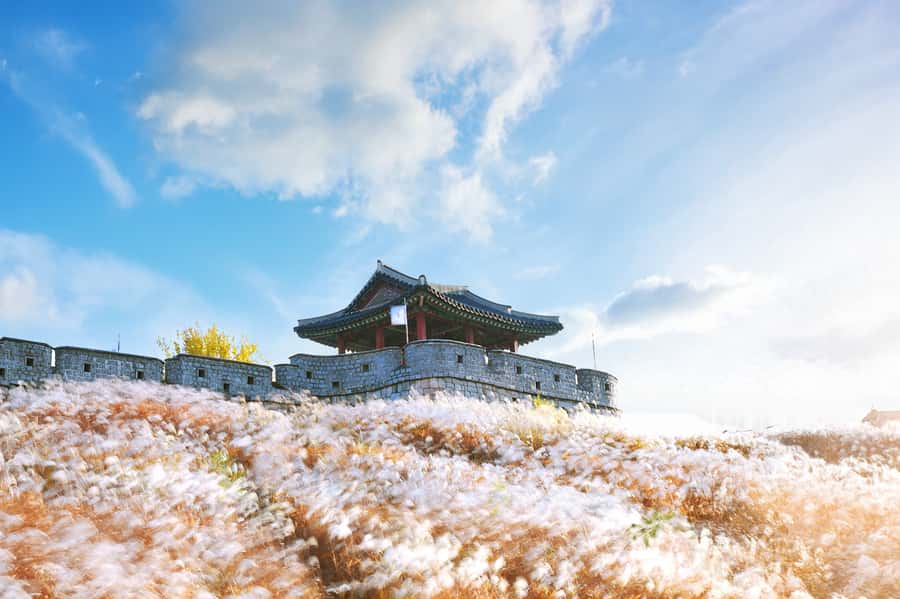 Seoul : Suwon Hwaseong Fortress+Starfield Library+Waujeongsa - Key points to know before booking