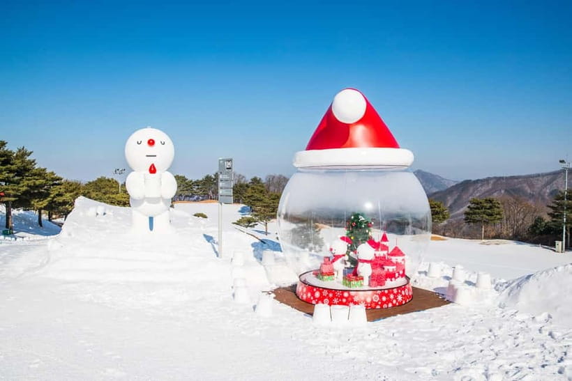 Seoul: Vivaldi Park Winter Ski with Eobi Ice Valley Day Tour - Who will get the most from this tour