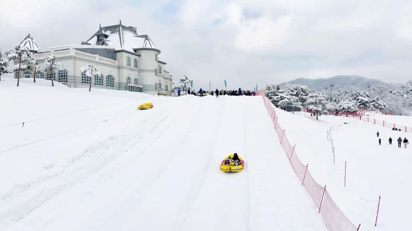 Seoul: Vivaldi Park Winter Ski with Nami Island Day Tour - Why this Seoul day trip works