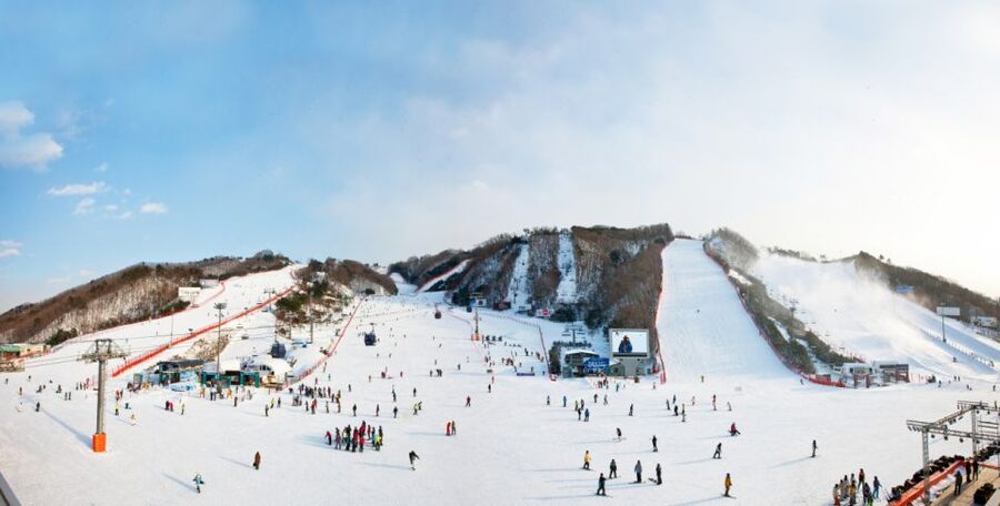 Seoul: Vivaldi Park Winter Ski with Nami Island Day Tour - What the one-hour lesson actually teaches