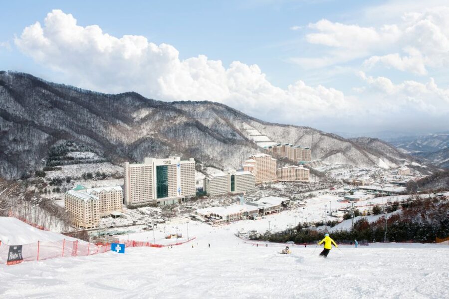 Seoul: Vivaldi Park Winter Ski with Nami Island Day Tour - The quieter shift to Nami Island