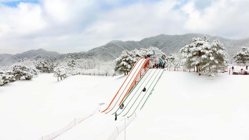Seoul: Vivaldi Park Winter Ski with Nami Island Day Tour - Price, extras, and practical value