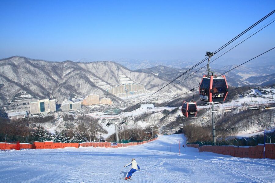 Seoul: Vivaldi Park Winter Ski with Nami Island Day Tour - Meeting the bus in central Seoul
