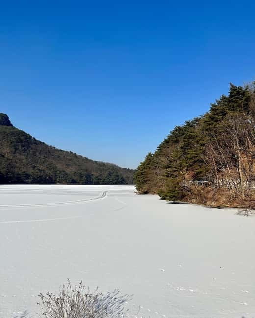 Seoul: Winter Day Tour in Pocheon (+Strawberry Picking) - Key points to know before you book
