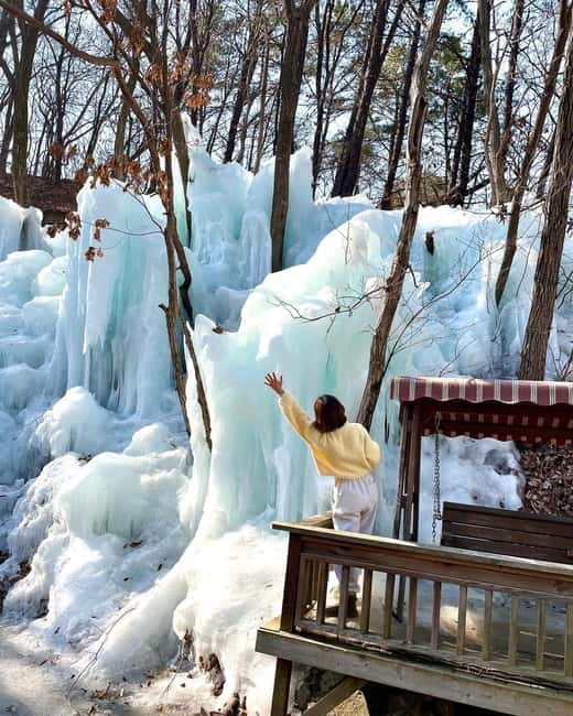 Seoul: Winter Day Tour in Pocheon (+Strawberry Picking) - Herb Island brings color after the snow