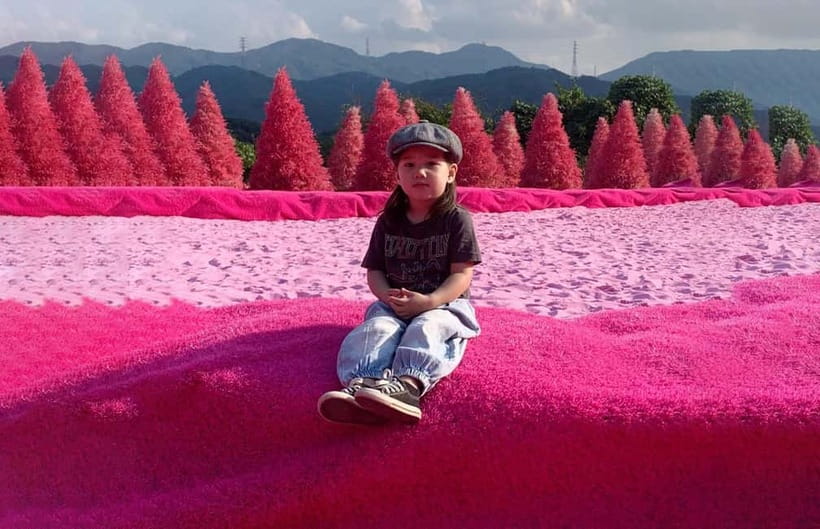 Seoul: Winter Day Tour in Pocheon (+Strawberry Picking) - Transport saves work, but the day remains long
