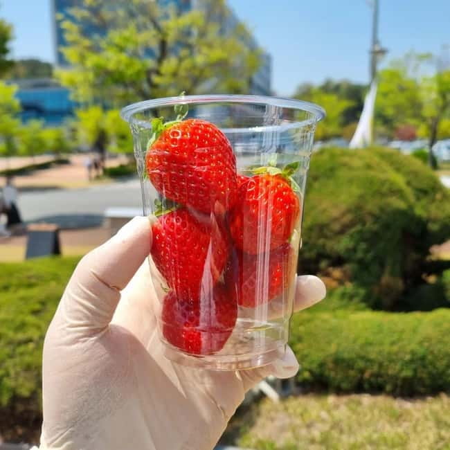 Seoul: Winter Day Tour in Pocheon (+Strawberry Picking) - Dally.On starts the day with a short photo stop