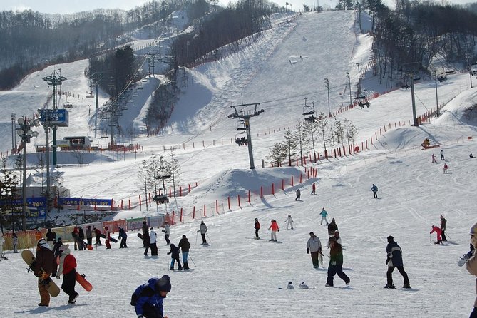 Ski Tour to Jisan Ski Resort from Seoul - Lunch and the pace of the resort day