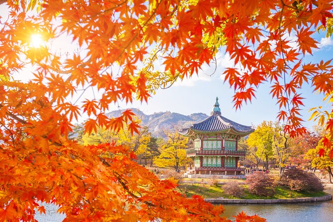 Small Group (7pax) Seoul Tour with Pickup/Dropoff (No Shopping) - A compact way to see central Seoul