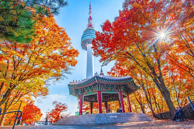 Small Group (7pax) Seoul Tour with Pickup/Dropoff (No Shopping) - Gyeongbokgung Palace and the changing guard