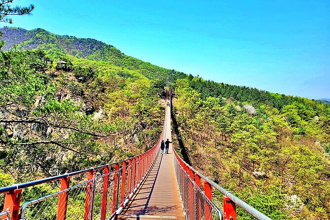 Small-Group DMZ Tour w/ North Korea Experience Hall & Susp.Bridge - Passing Unification Village
