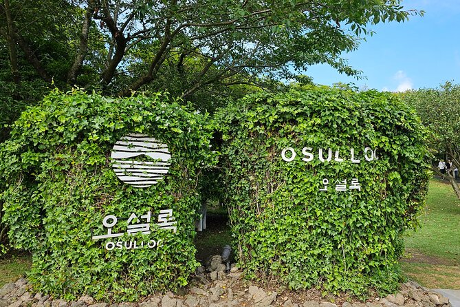 Small group Jeju private Full-Day Tour of East and South and West - Yongmeori Coast and Jeju’s Volcanic Edges