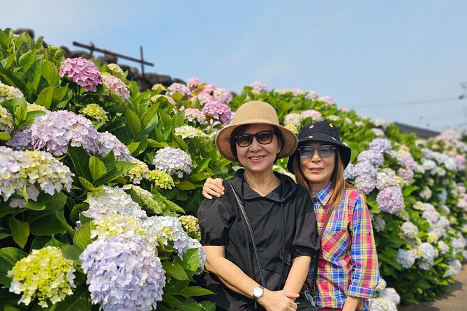 Small group Jeju private Full-Day Tour of East and South and West - Lunch and Local Restaurant Help