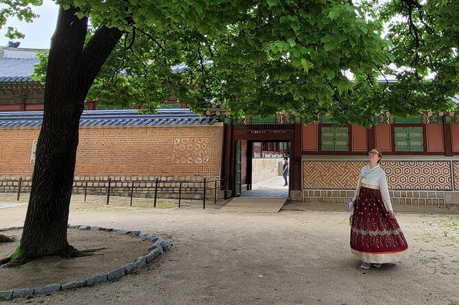 (Small Group) Palace & Seoul Old Town Highlights - Who will get the most from this walk