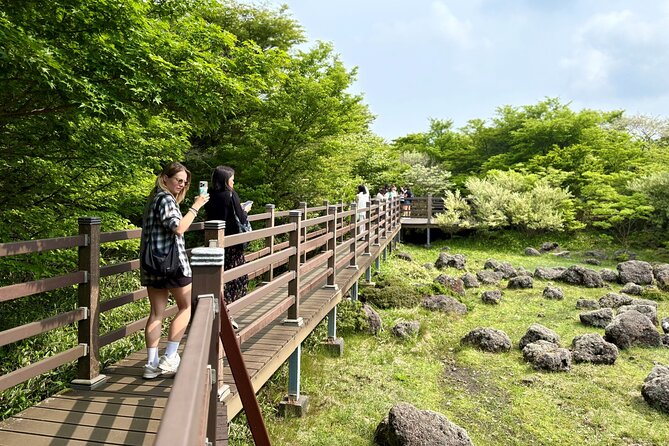 Small Group Tour for Jeju Fall Pink Muhly, Tangerines & Mt. Halla - Forest paths and water at Cheonjeyeon Falls