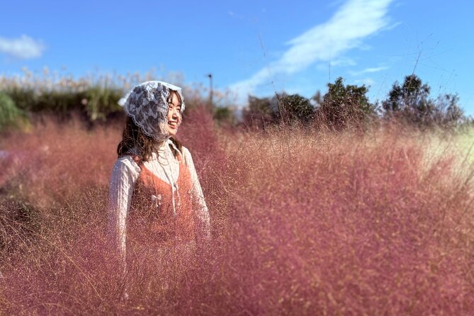 Small Group Tour for Jeju Fall Pink Muhly, Tangerines & Mt. Halla - Pink muhly and garden paths at Camellia Hill