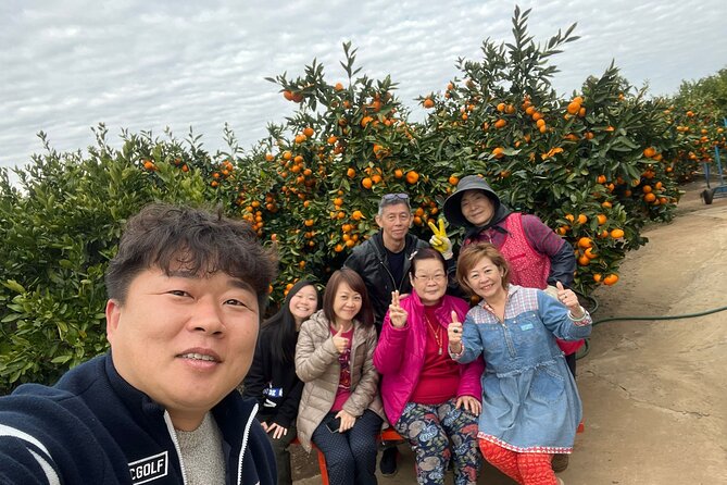 Small group tour FULL - PACKAGE Tour to All Areas in Jeju Island - Key points to know before booking
