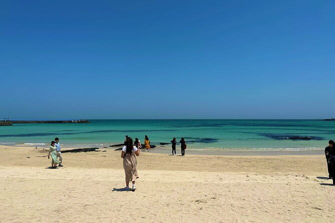 Small Group Tour in East Jeju Healing Island w/Woman Divers Show - Lunch with local choices, not a fixed meal