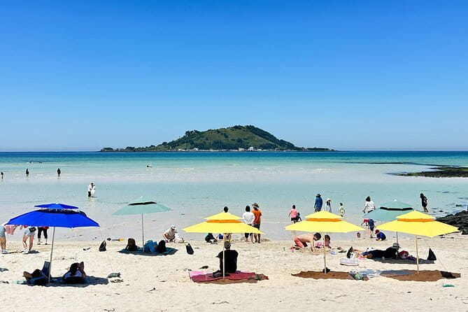 Small Group Tour in West Jeju Healing Island w/Caves & Dolphins - A Full Day on Jeju’s Western Side