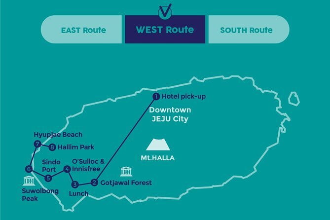 Small Group Tour in West Jeju Healing Island w/Caves & Dolphins - O’Sulloc Tea Museum and Jeju Green Tea
