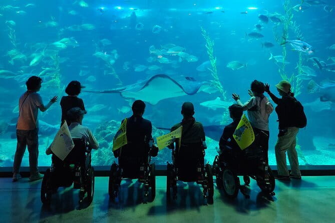 Small Group Tour in West Jeju Healing Island w/Caves & Dolphins - Hyeopjaegul and Ssangyonggul Lava Tubes