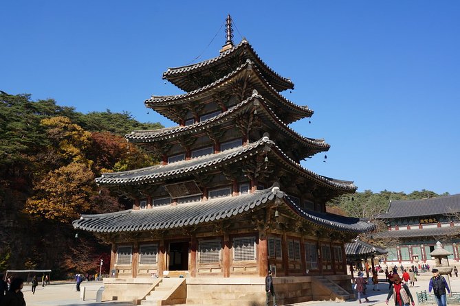 Songnisan National Park & Beopjusa Temple UNESCO site Private Tour - Why this makes a worthwhile day outside Seoul