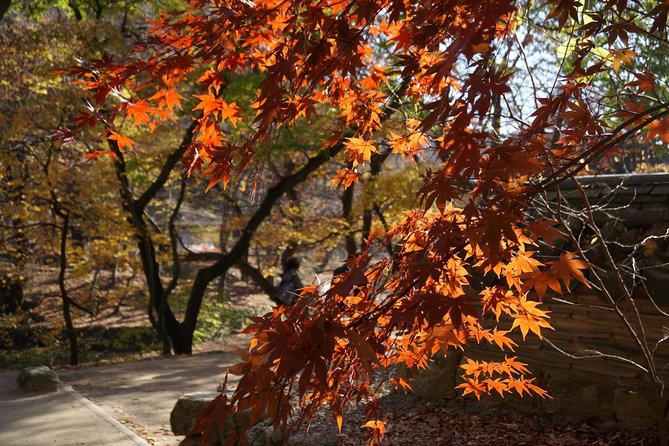 Songnisan National Park & Beopjusa Temple UNESCO site Private Tour - Choosing between a two-hour walk and Munjangdae