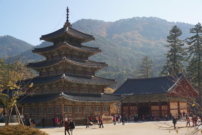 Songnisan National Park & Beopjusa Temple UNESCO site Private Tour - Who should choose this day trip?