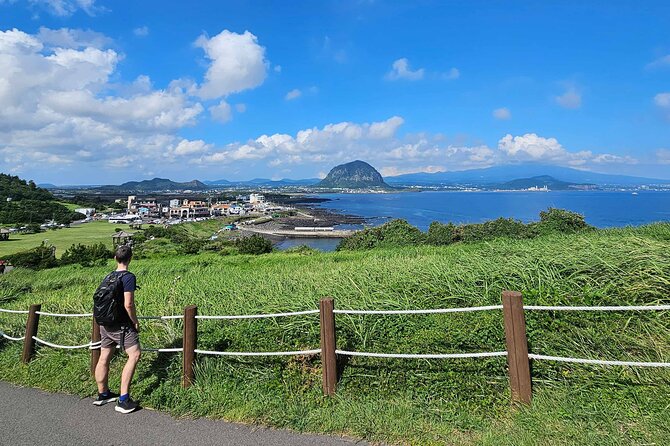 South-West Jeju Essentials: Hallasan & Signature Highlights - Hallasan viewpoints and the weather-based first stop