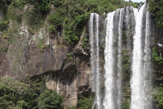 South-West Jeju Essentials: Hallasan & Signature Highlights - Jusangjeolli Cliff and Jeju’s volcanic geometry