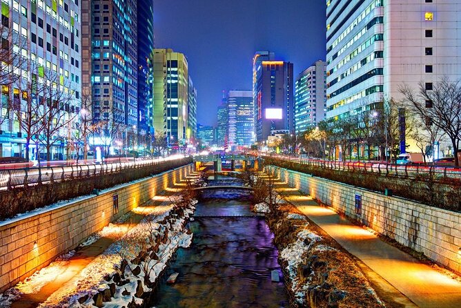 Special City Night Tour - Seoul after dark, from palace gates to neon streets