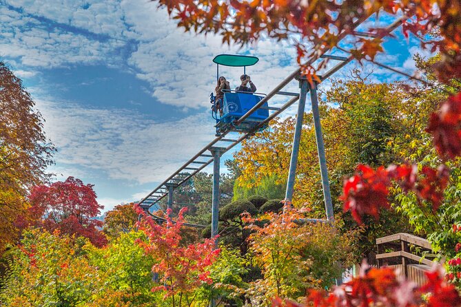 Special Private Tour Nami Island, Rail Bike, Petite France - Gangchon Rail Bike Along the Former Gyeongchun Line