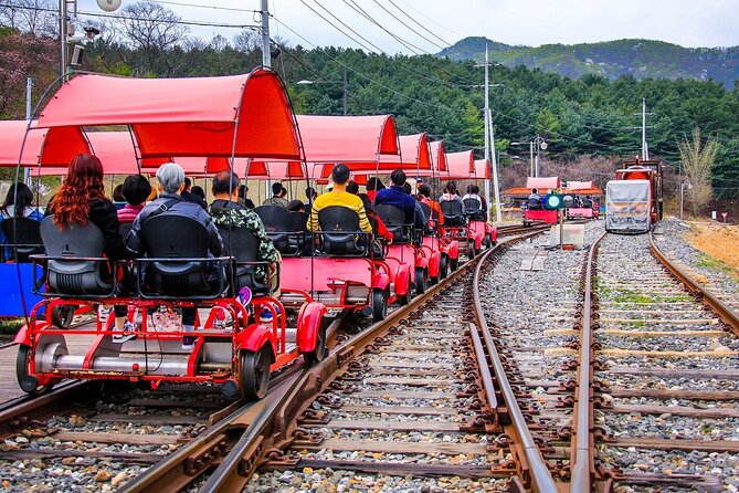 Special Private Tour Nami Island, Rail Bike, Petite France - Chuncheon Chicken Barbecue at Houwon Garden