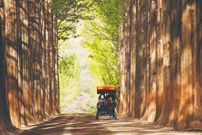 Special Private Tour Nami Island, Rail Bike, Petite France - What the $275 Price Really Buys
