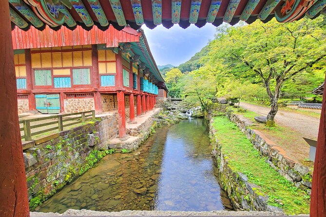 Suncheon one day tour from Seoul, Busan or Suncheon - Why Suncheon works as a day trip